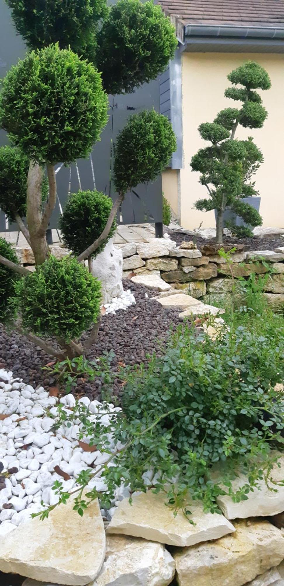 La Villanelle Maison D'Hotes Pelousey Екстериор снимка